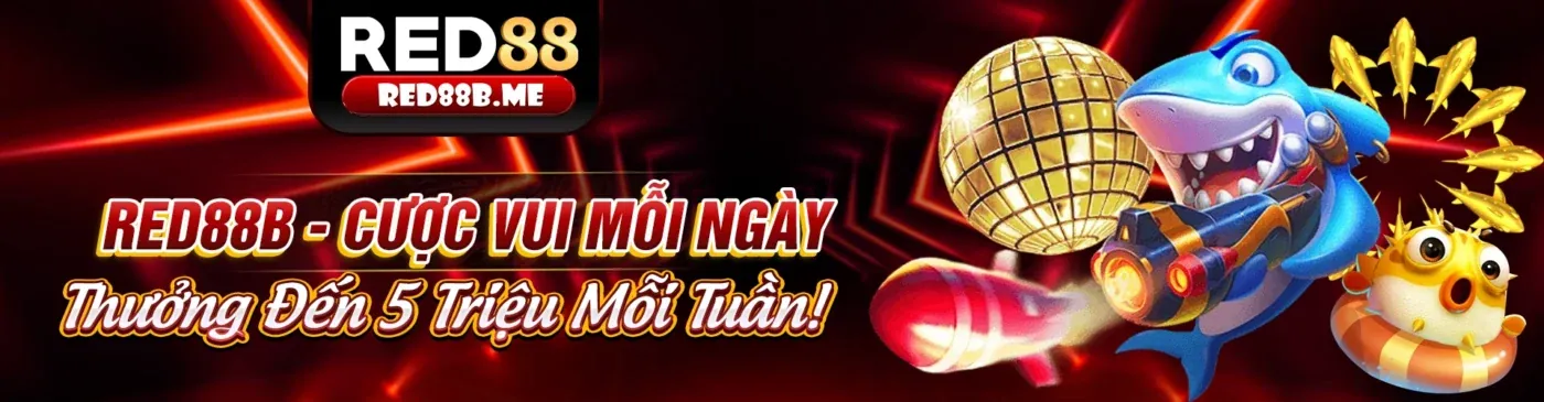 Tin tức và cập nhật mới nhất từ w88 money